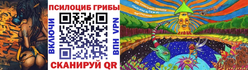 Купить  Троицк  Псилоцибиновые грибы мицелий 
