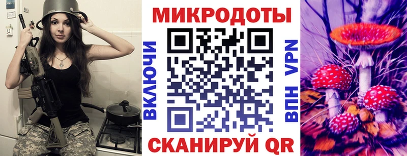 Галлюциногенные грибы Psilocybe Троицк