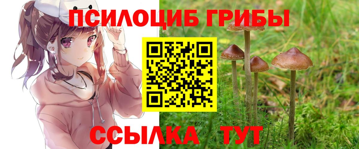 Галлюциногенные грибы ЛСД Троицк