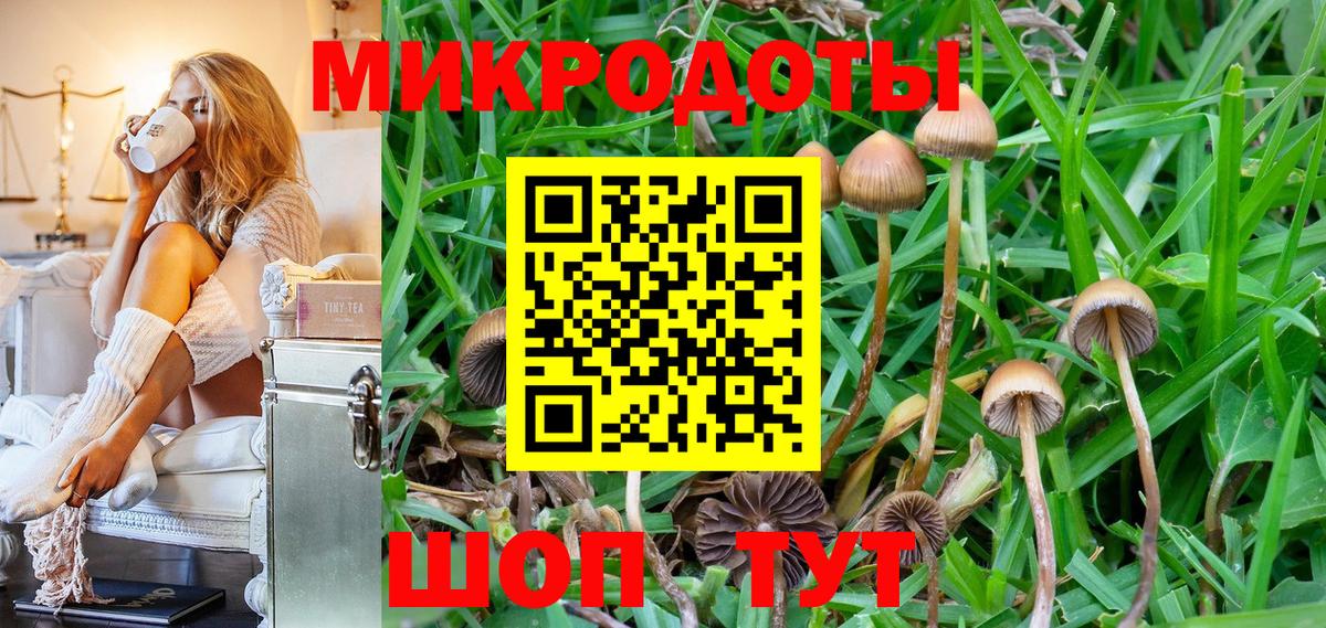 Троицк  Псилоцибиновые грибы мухоморы  Псилоцибиновые грибы ЛСД  Вход с VPN 